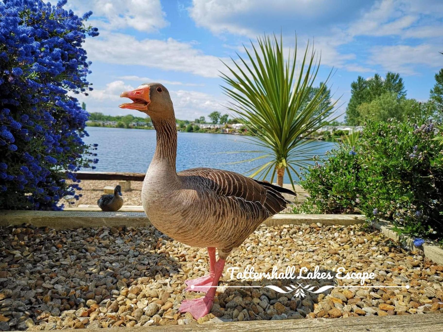 Meridian Tattershall Lakes Escape - Lakeside Lodge Caravan With A Fishing Peg Luxury Hot Tub Ngoại thất bức ảnh